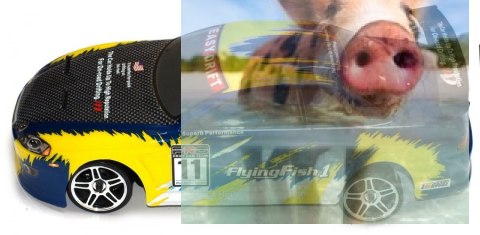 Himoto DRIFT TC 1:10 2.4GHz RTR (HSP Flying Fish 1)- 12305