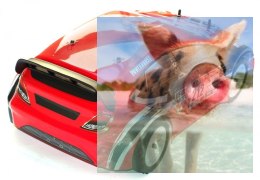 Himoto Rally Racing 2.4Ghz