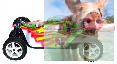 Himoto ZMOTOZ3 Buggy 1:10 2.4GHz RTR (HSP XSTR)- 10314