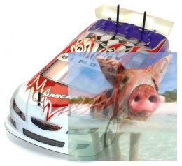 Interceptor NASCADA 1:10 4x4 2.4GHz RTR - 10142