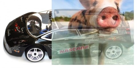 Interceptor Nascada Brushless 1:10 2.4GHz 4x4 RTR- 10121