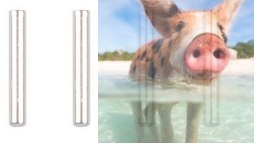 Kołek pozycjonujący - 12428-0072