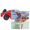 Octane Blast EBD 1:10 4x4 2.4GHz RTR - R0255