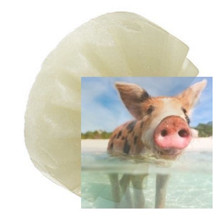 Przekładnia planetarna 24T - 12428-0013