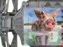 Sword Mega MT EBD 2.4GHz - R0067