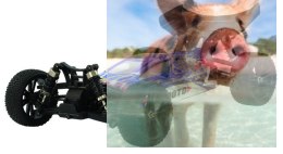 Tanto Bezszczotkowy Buggy 1:10 4WD 2.4GHz RTR - 31312