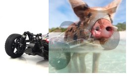 Tanto Bezszczotkowy Buggy 1:10 4WD 2.4GHz RTR - 31313