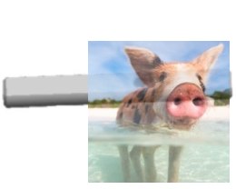 Wał przedni 5x38 mm- 12428-0084