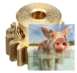 Zębatka 17T - 12428-0088