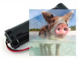 2000mAh 8.4V NiMH Tamiya do Hobby Engine