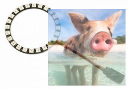 24-diodowa płytka z oświetleniem LED (5V, 7 kolorów) z kontrolerem oświetlenia