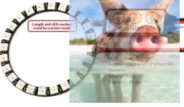 24-diodowa płytka z oświetleniem LED (5V, 7 kolorów) z kontrolerem oświetlenia