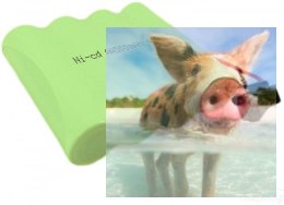 500mAh 4.8V Ni-Cd SM