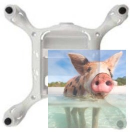 Część dolna obudowy białej - X21-01A