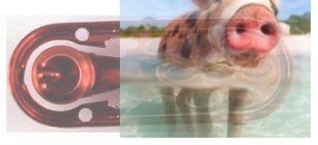 Dekoracja modelu - X20W-07