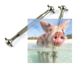 Dog bone 2 szt. - A303-24