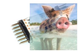 FrSky MLVSS mini czujnik napięcia akumulatora LiPo