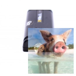 FrSky Moduł R9M LITE (EU)