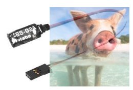 Futaba SBS-02A wariometr z wysokościomierzem do systemu telemetrii