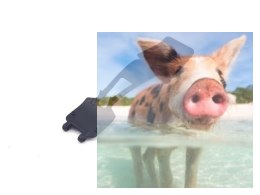 Górna płyta podwozia - 21105