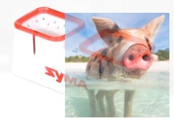 Ładowarka USB - X22W-16