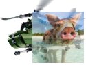 Military Helicopter 2w1