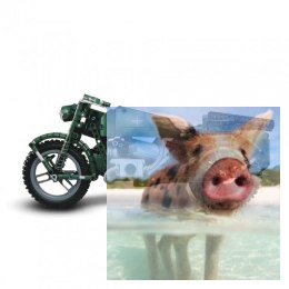 Motocykl wojskowy - klocki CADA - zdalnie sterowany (629 klocków)