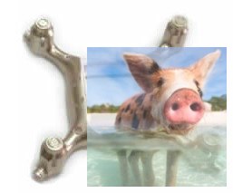 Obudowa złota(część dolna) - X21W-06-GOL