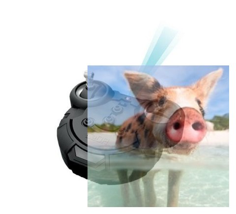 Samochód Garbus - klocki CADA - ZDALNIE STEROWANY (C51016W)