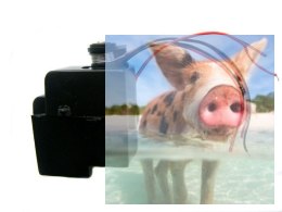 Serwo do motorówki Nevada