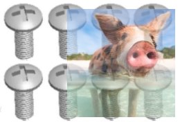 Śruby z łbem krzyżowym - 12428-0107