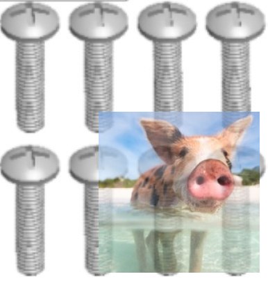 Śruby z łbem krzyżowym - 12428-0110