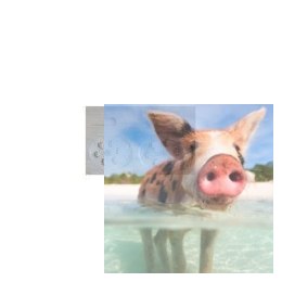 Zębatki odbierające 2szt - 045286-12