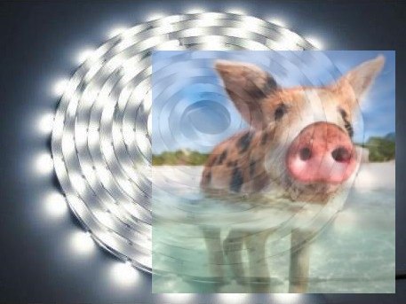 Zestaw oświetlenia LED - Listwa RGB 1m + Kontroler 5V