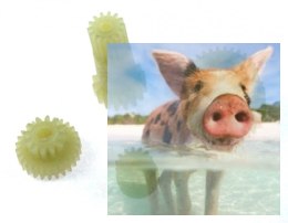 Zestaw trybów przekładni (razem 4szt.) do A303-13