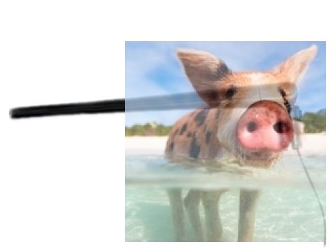 Antena nadajnika X7/X7S - Czarna - POSERWISOWA