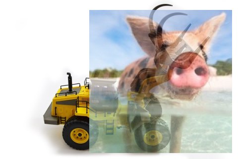 Chwytak do kłód Premium RTR 1:14 2.4GHz - czysty