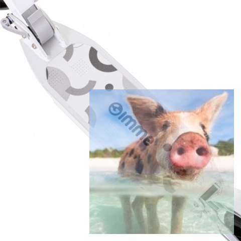 Hulajnoga miejska składana AILO (koła 200mm, szer. podestu 140mm, amortyzator tył/przód) - biała