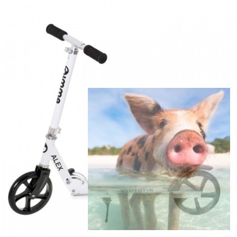 Hulajnoga składana ALEX (koła 200mm, szer. podestu 110mm) - biała