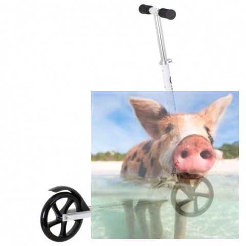 Hulajnoga składana ALEX (koła 200mm, szer. podestu 110mm) - biała