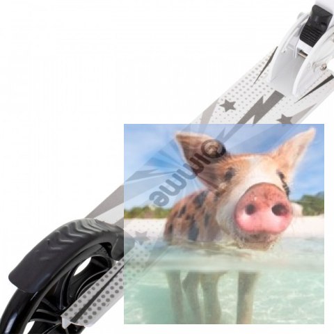 Hulajnoga składana ALEX (koła 200mm, szer. podestu 110mm) - biała