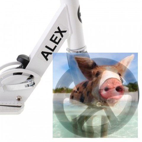 Hulajnoga składana ALEX (koła 200mm, szer. podestu 110mm) - biała