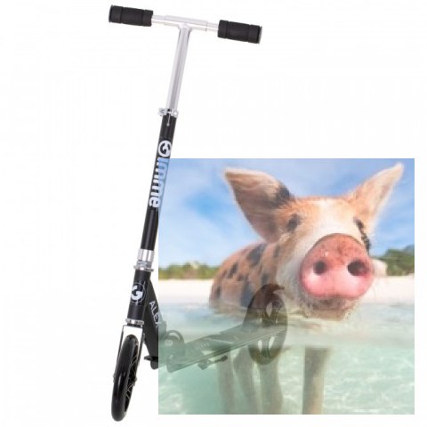 Hulajnoga składana ALEX (koła 200mm, szer. podestu 110mm) - czarna