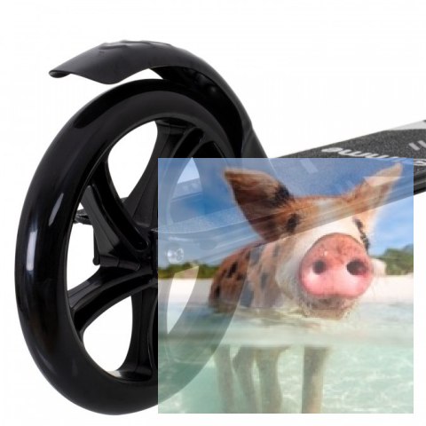 Hulajnoga składana ALEX (koła 200mm, szer. podestu 110mm) - czarna