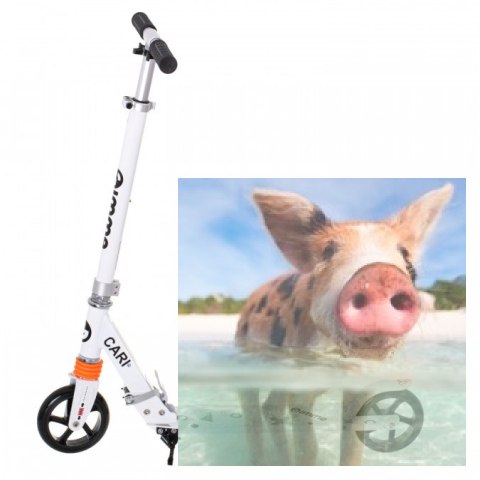 Hulajnoga składana CARI (koła 145mm, amortyzator przód) - biała