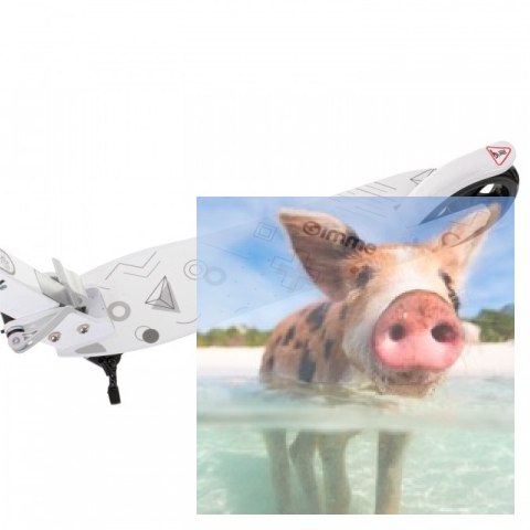 Hulajnoga składana CARI (koła 145mm, amortyzator przód) - biała