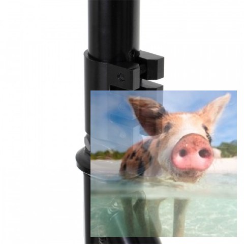 Hulajnoga wyczynowa SIRI (koła 100mm, szer. podestu 110mm) - czarna