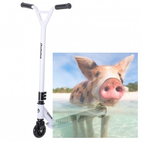 Hulajnoga wyczynowa STIV (koła 100mm, szer. podestu 110mm, wzmocniona konstrukcja) - biała