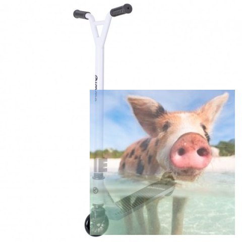 Hulajnoga wyczynowa STIV (koła 100mm, szer. podestu 110mm, wzmocniona konstrukcja) - biała