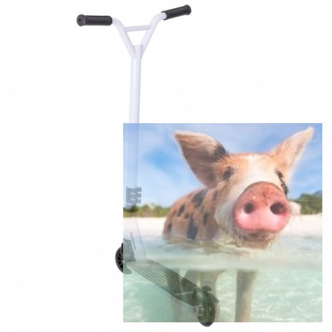 Hulajnoga wyczynowa STIV (koła 100mm, szer. podestu 110mm, wzmocniona konstrukcja) - biała